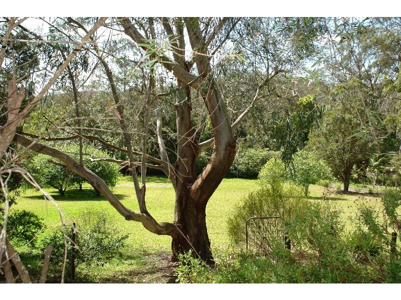 9 Lorikeet Lane, Fountaindale NSW 2258