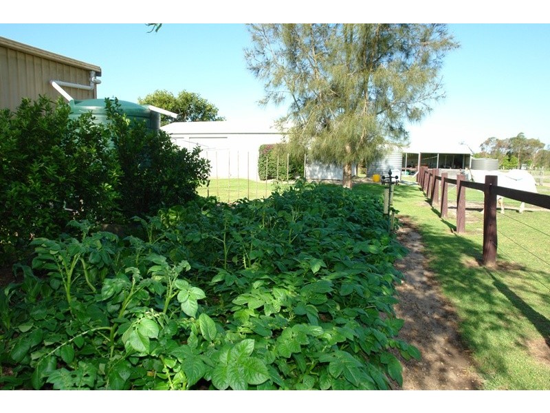 184 Yarramalong Road, Wyong Creek NSW 2259