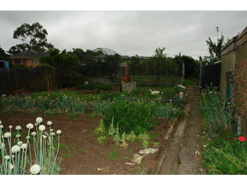 12 Jennings Street, Wyong NSW 2259