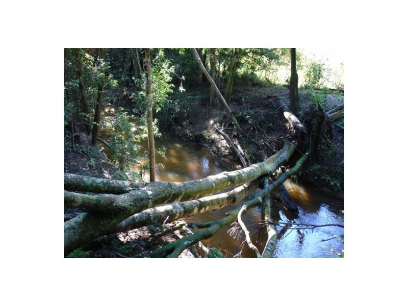Lot 2 Ourimbah Creek Road, Ourimbah NSW 2258