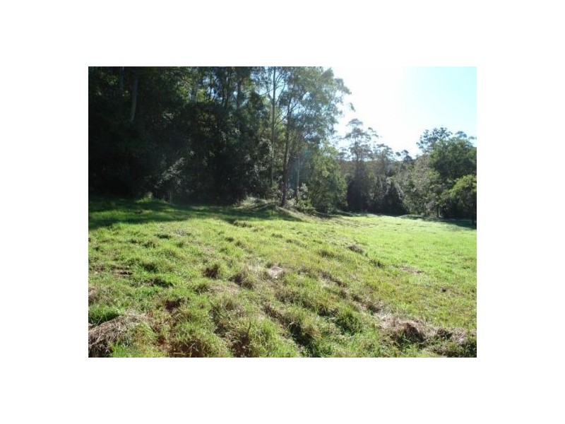Lot 2 Ourimbah Creek Road, Ourimbah NSW 2258