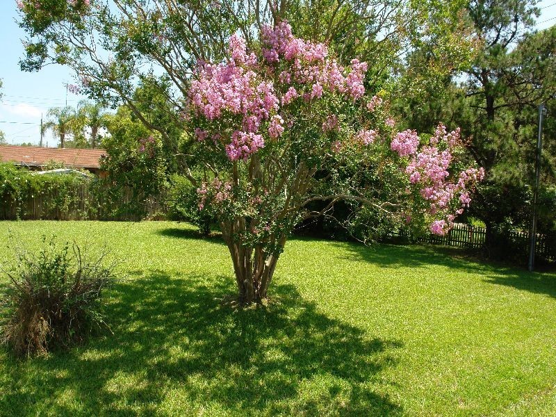 5 Geoffrey Road, Chittaway Point NSW 2261