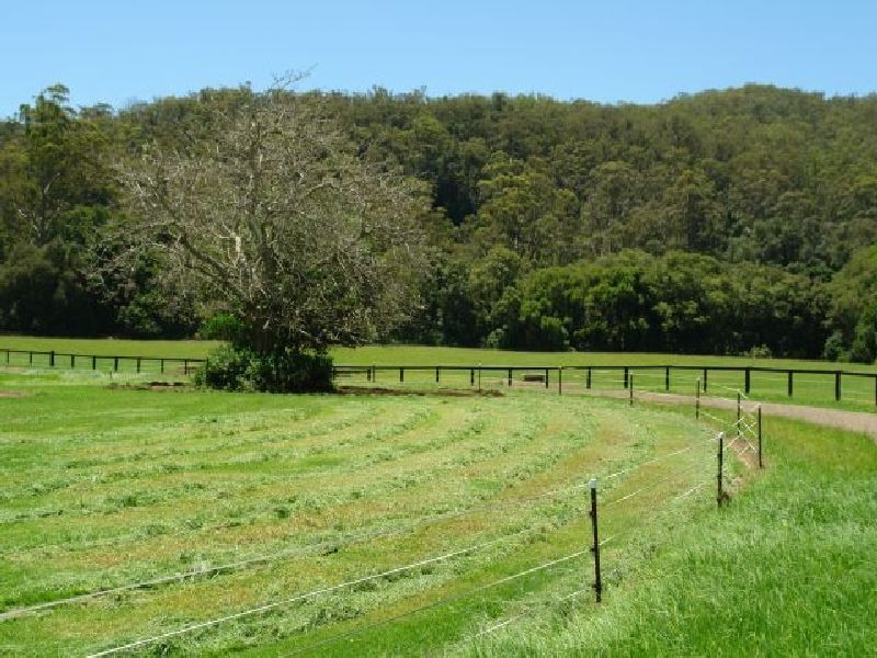 403 Yarramalong Road, Wyong Creek NSW 2259