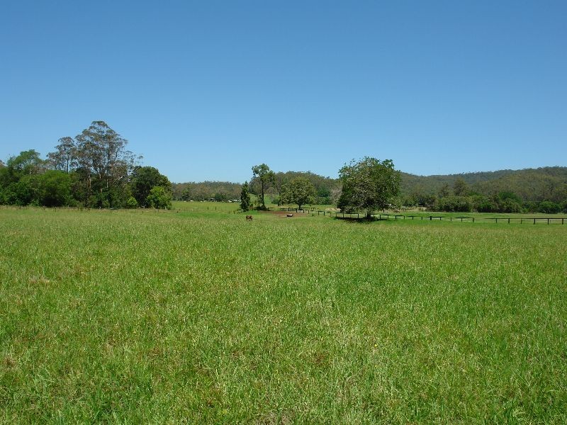 403 Yarramalong Road, Wyong Creek NSW 2259