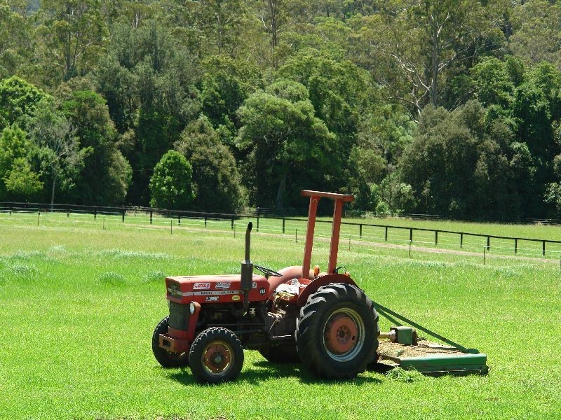 403  Yarramalong Road, Yarramalong NSW 2259