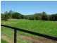 403  Yarramalong Road, Yarramalong NSW 2259