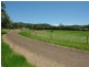 403  Yarramalong Road, Yarramalong NSW 2259