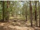 Lot 22 Little Cobbs Rd, Mardi NSW 2259