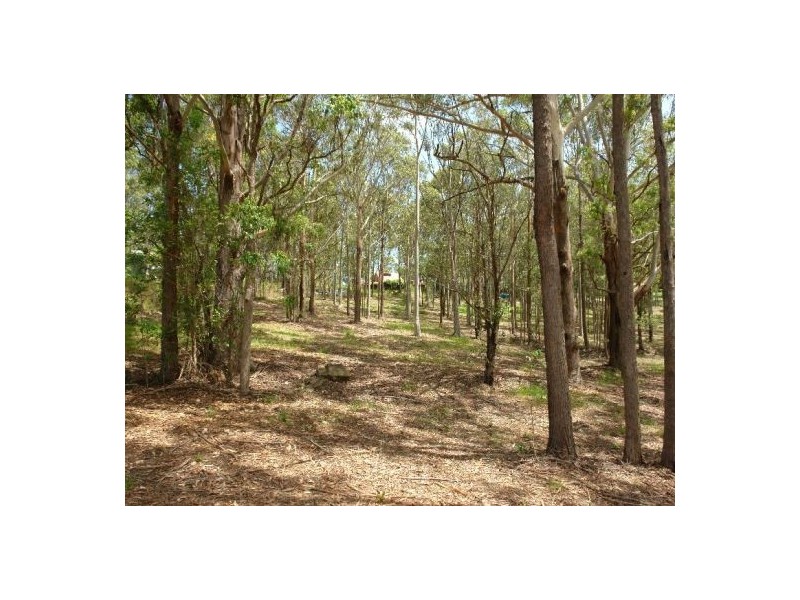 Lot 22 Little Cobbs Rd, Mardi NSW 2259