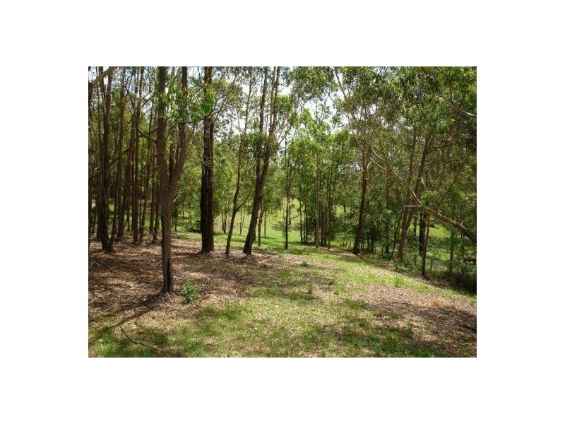 Lot 22 Little Cobbs Rd, Mardi NSW 2259