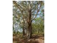 Lot 22 Little Cobbs Rd, Mardi NSW 2259
