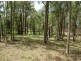 Lot 22 Little Cobbs Rd, Mardi NSW 2259