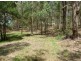 Lot 22 Little Cobbs Rd, Mardi NSW 2259