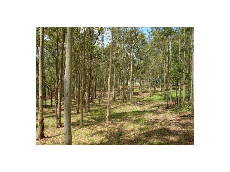 Lot 22 Little Cobbs Rd, Mardi NSW 2259