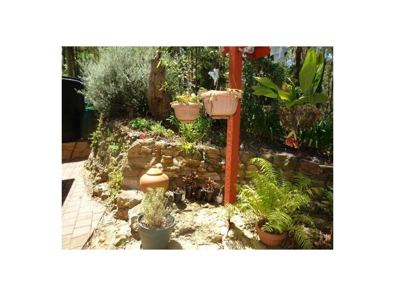 1 Little Cobbs Lane, Mardi NSW 2259