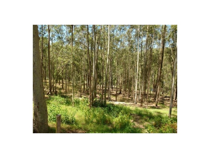 1 Little Cobbs Lane, Mardi NSW 2259