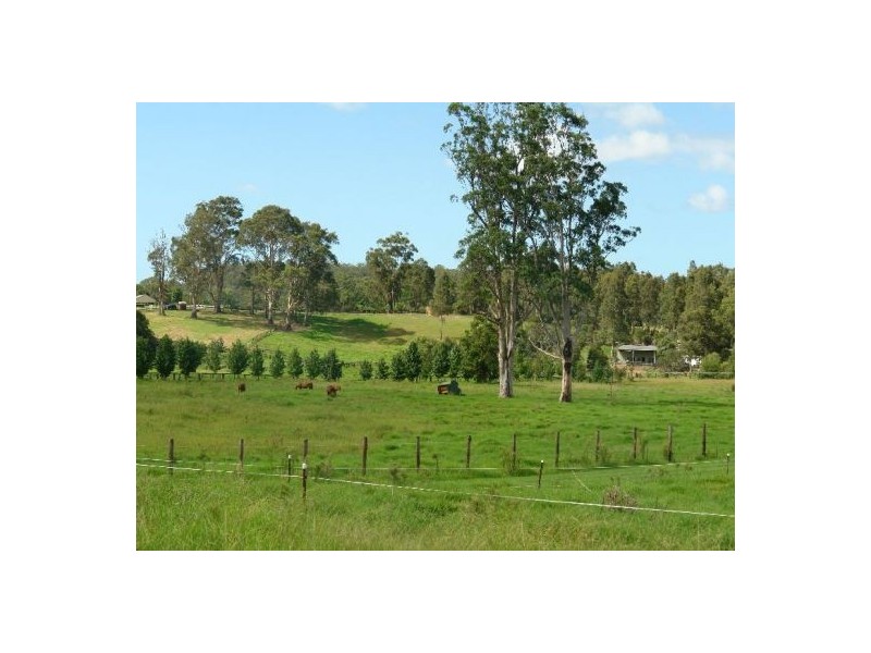 309 Yarramalong Road, Yarramalong NSW 2259