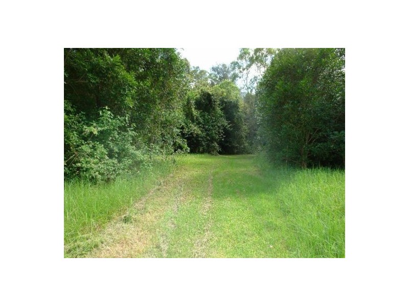 309 Yarramalong Road, Yarramalong NSW 2259