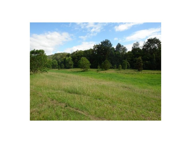 309 Yarramalong Road, Yarramalong NSW 2259