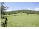 Lot 101 Lauffs Lane, Yarramalong NSW 2259