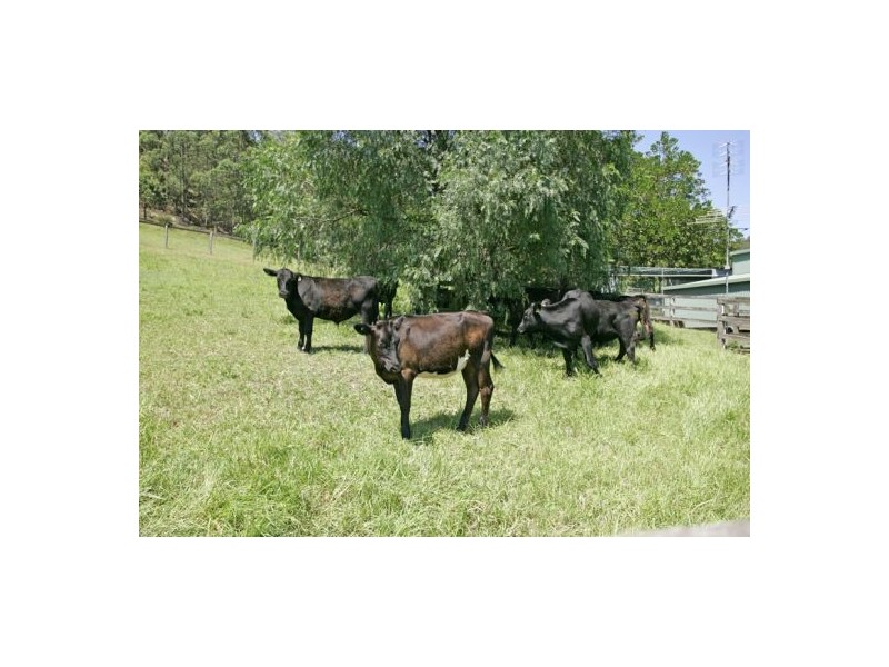 Lot 102 Lauffs Lane, Wyong Creek NSW 2259