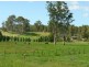 309  Yarramalong Road, Yarramalong NSW 2259
