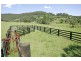 Lots 101 & 102 Lauffs Lane, Wyong Creek NSW 2259