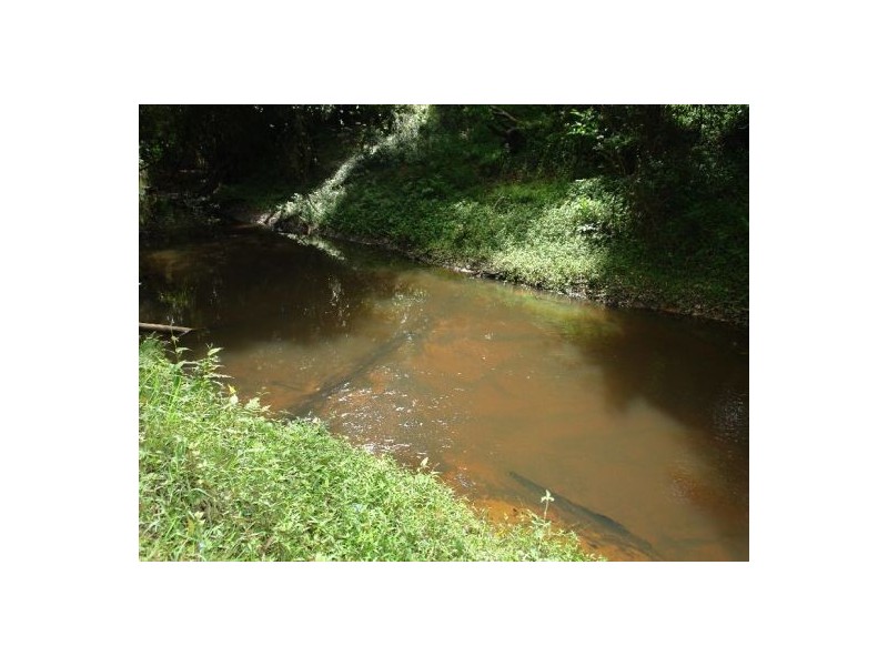 Lot 103  Yarramalong Road, Wyong Creek NSW 2259