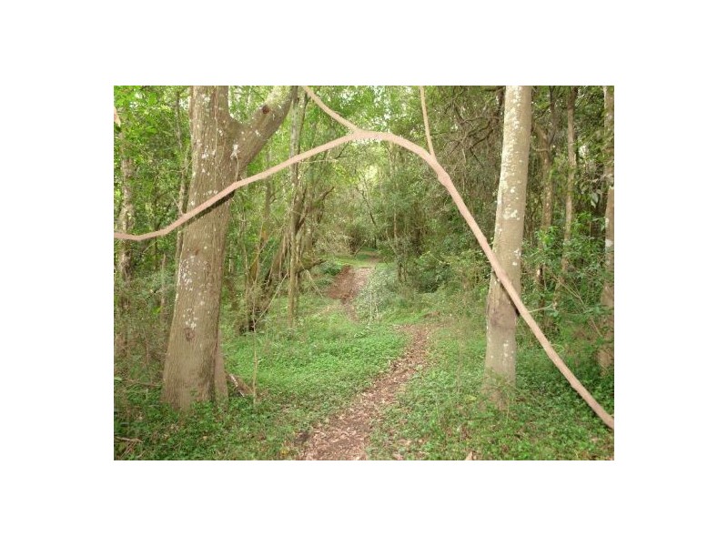 Lot 103  Yarramalong Road, Wyong Creek NSW 2259