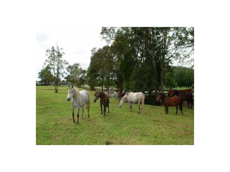 Lot 103  Yarramalong Road, Wyong Creek NSW 2259