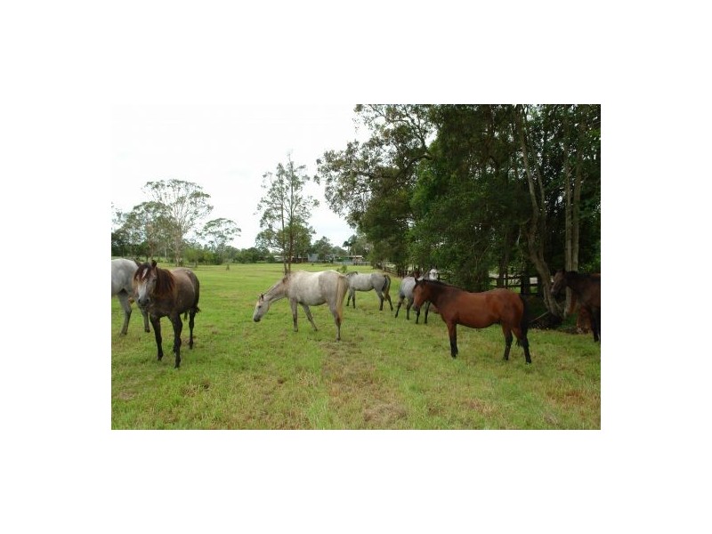 Lot 103  Yarramalong Road, Wyong Creek NSW 2259