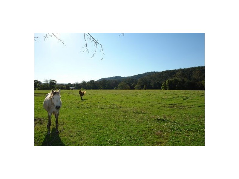 Lot 103  Yarramalong Road, Wyong Creek NSW 2259