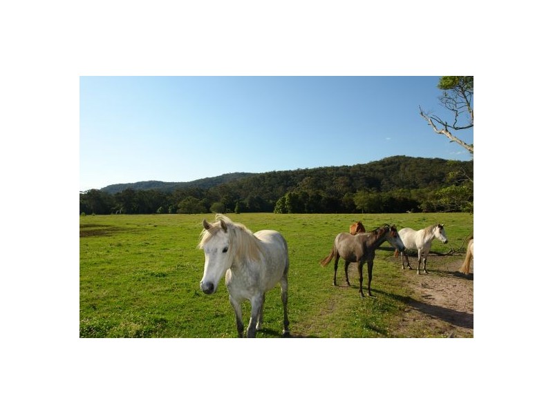 Lot 103  Yarramalong Road, Wyong Creek NSW 2259