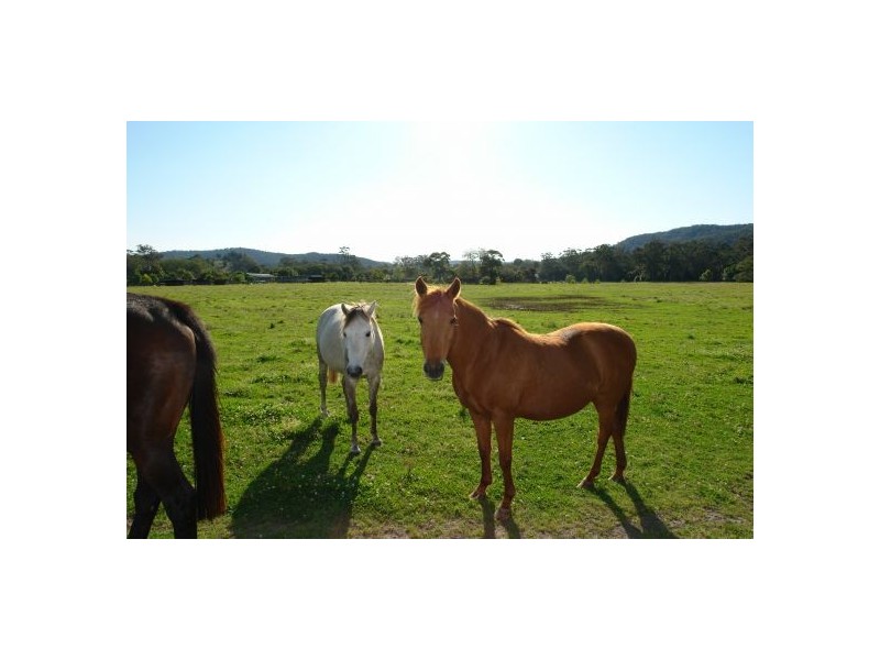 Lot 103  Yarramalong Road, Wyong Creek NSW 2259