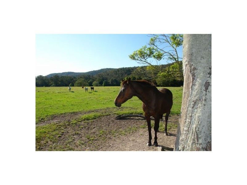 Lot 103  Yarramalong Road, Wyong Creek NSW 2259