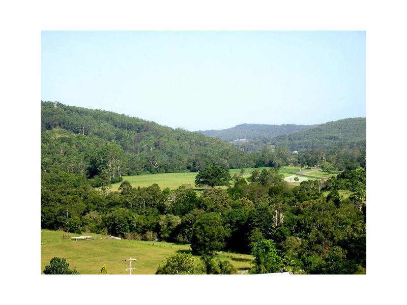 1203 Yarramalong Road, Yarramalong NSW 2259