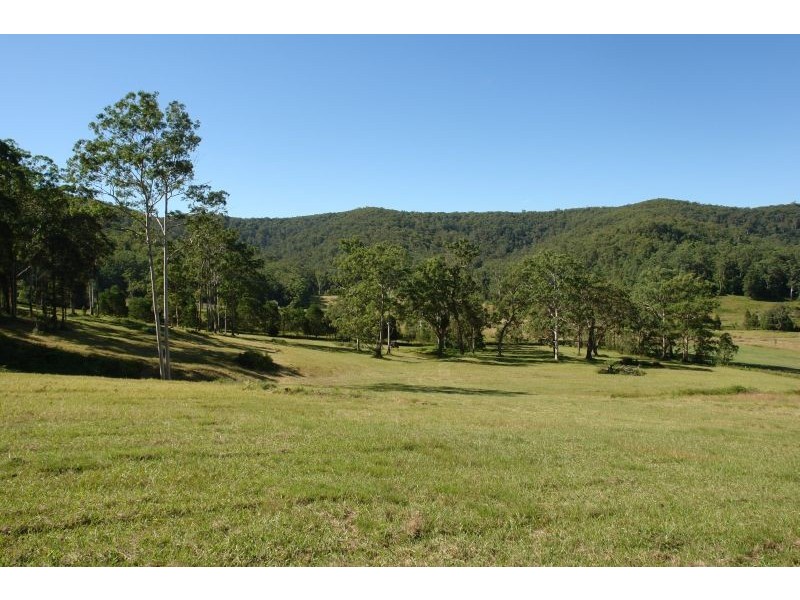 1203  Yarramalong Road, Yarramalong NSW 2259