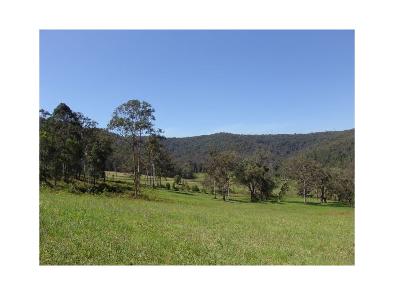 1203 Yarramalong Road, Wyong Creek NSW 2259