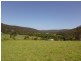 1203 Yarramalong Road, Wyong Creek NSW 2259