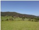 1203 Yarramalong Road, Wyong Creek NSW 2259