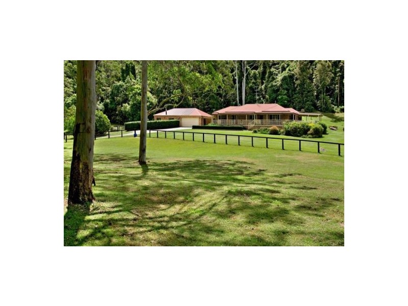 409 Yarramalong Road, Yarramalong NSW 2259