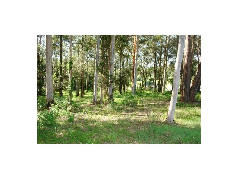 Glenning Valley NSW 2261