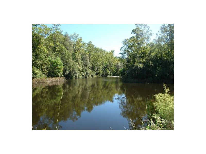 1126 Dooralong Road, Dooralong NSW 2259