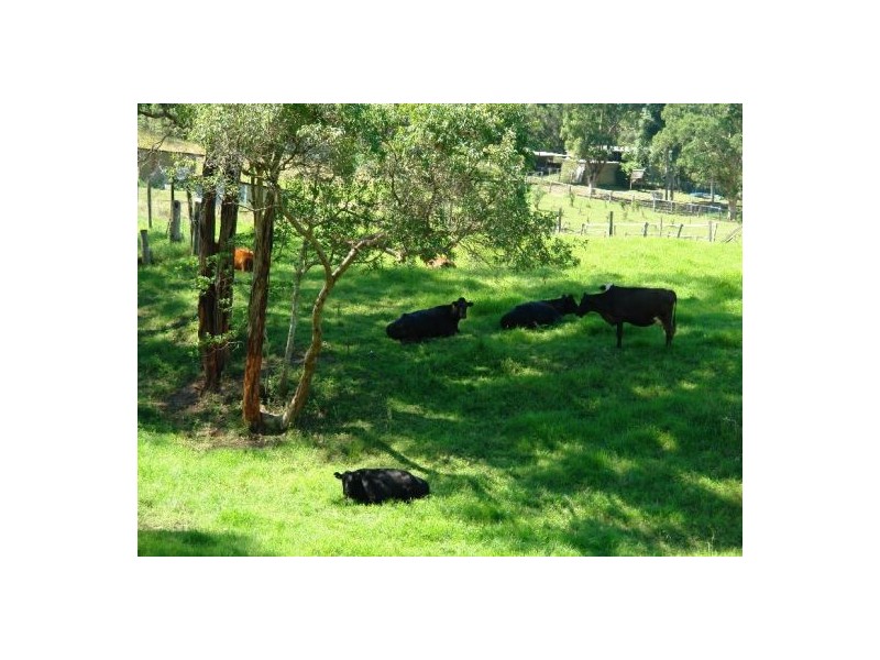 1126 Dooralong Road, Dooralong NSW 2259