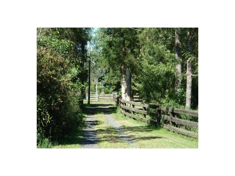 1126 Dooralong Road, Dooralong NSW 2259