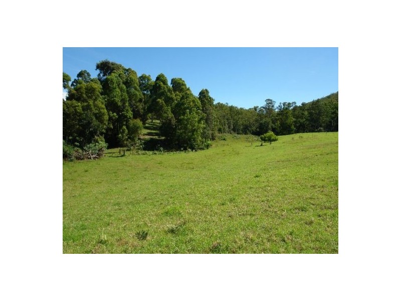 1126 Dooralong Road, Jilliby NSW 2259