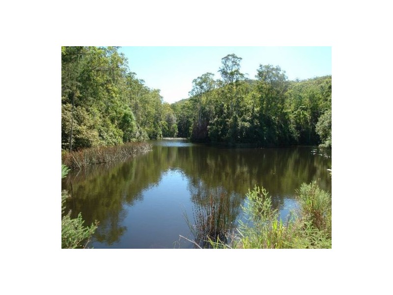 1126 Dooralong Road, Jilliby NSW 2259