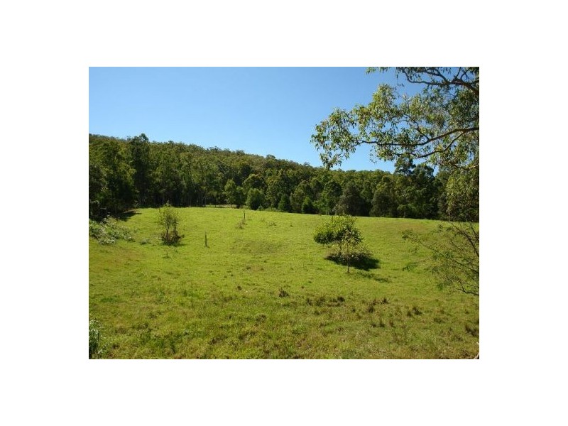 1126 Dooralong Road, Jilliby NSW 2259