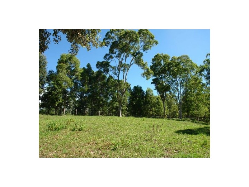 1126 Dooralong Road, Jilliby NSW 2259