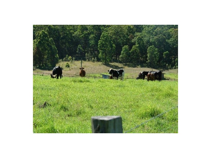 1126 Dooralong Road, Jilliby NSW 2259